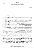 The Four Seasons - Winter 1st Movement