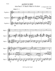 Agnus Dei - Aria from Bach B minor Mass