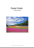 Pastel Fields