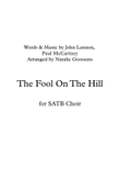 The Fool On The Hill