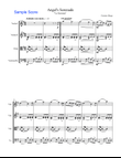 ANGEL'S SERENADE String Quartet, Intermediate Level for 2 violins, viola and cello
