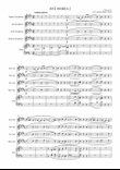 Ave Maria II, S. 38, Franz Liszt - for saxophine quartet and piano