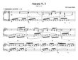 Piano Sonata N.3 Op 7 nº2