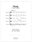 Windy