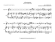 A Portugesa (portuguese National Anthem)