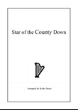 Star of the County Down (harp solo)