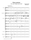 Paseo noturno (Saxophone Choir + 2 Piccolos)