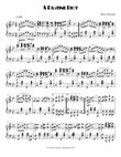 A Ragtime Riot
