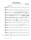Paseo noturno (String Orchestra)