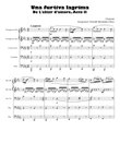 Una furtiva lagrima - Brass quintet