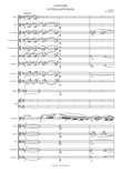 Fantasie for Flute & Symphony Orchestra (arr.) Full Score
