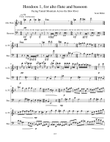 Hoodoos 1, for alto flute and bassoon