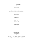 Trio sonata QV 2 20 for flute, violin and continuo in E minor