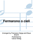 Fermarono o cieli