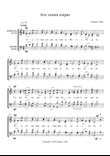 Ave verum corpus