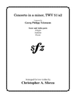 Concerto in a minor, TWV 51:a2