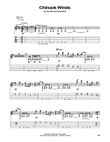Chinhook Winds
