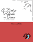 A Bridge Between an Ocean