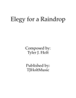 Elegy for a Raindrop, Op. 25