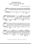 Moonlight Sonata (Beethoven) - pedal harp solo