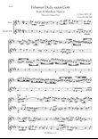 J S Bach Erbarme dich, mein Gott from St Matthew Passion, BWV 244. Flute and Clarinet Duet