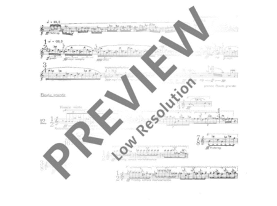 Tempus loquendi Tempus loquendi Flute scores gallery preview page 12