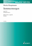 Sommermorgen