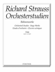 Orchesterstudien aus seinen Bühnenwerken: Viola
