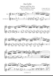 J S Bach Aus Liebe from St Matthew Passion, BWV 244. Flute and Alto Flute Duet