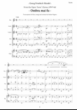 G.F. Haendel: Ombra mai fu - Largo from Serse (Xerses) - For flute and strings