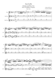 J S Bach Aus Liebe from St Matthew Passion, BWV 244. Flute trio (Flute, Alto Flute and Bass Flute)