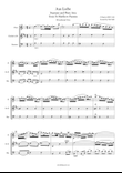J S Bach Aus Liebe from St Matthew Passion, BWV 244. Woodwind Trio