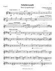 Scheherazade arranged for flute, harp and string quintet - Violin 2 Part