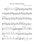 Jesu Joy of Man's Desiring