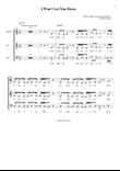 I Won't Let You Down - SAB Choir