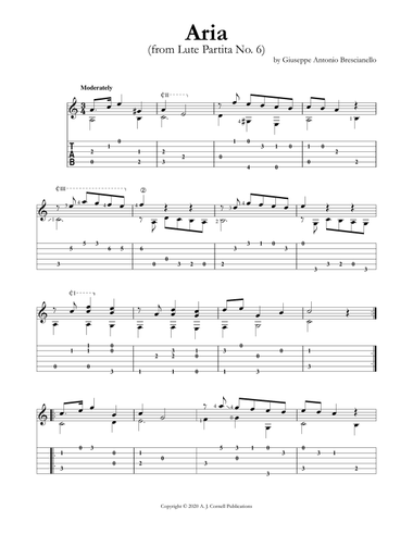 Aria (from Lute Partita No. 6)