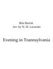 Evening in Transylvania