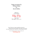 The Fly (poem by William Blake)