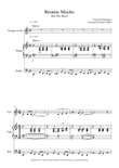 Bésame Mucho (kiss Me Much)