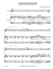 O SACRED HEAD NOW WOUNDED - FLUTE or ALTO FLUTE SOLO with Piano Accompaniment