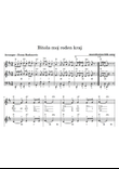 Bitola moj roden kraj - for accordion duet