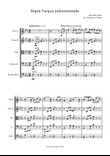 Reynaldo Hahn - Sopra l'acqua indormenzada