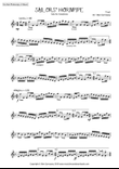 The Sailors Hornpipe - Xylophone Solo