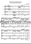 The Chrysanthemum Rag for String Quartet