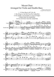 Mozart Duet arranged for Violin and Double Bass