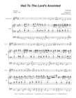 Hail To The Lord's Anointed (Bb-Clarinet solo) - Organ accompaniment) mini preview