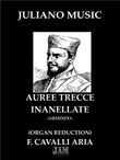 AUREE TRECCE INANELLATE FROM 