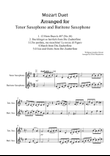 Mozart Duet arranged for Tenor Saxophone and Baritone Saxophone