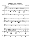 Second Sunday of lent year B