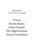 On the Banks of the Danube, The Highwayman and Arioso Lamentoso
